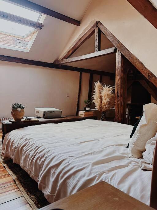 Romantic Unesco Medieval House In The City Center Gent Eksteriør billede